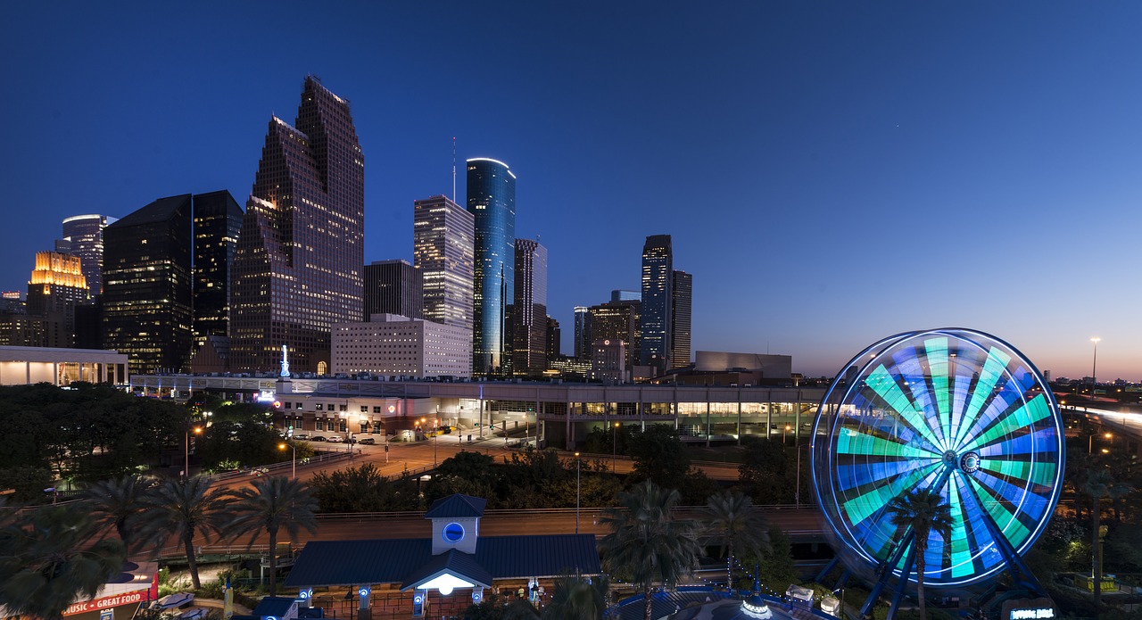 BoldBids Houston Estate Sale & Probate Property Services — Houston Skyline
